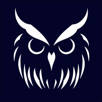 Owlsight Academy logo - Similar company to Gbt Technologies
