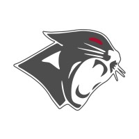 Wsu Formula Electric
