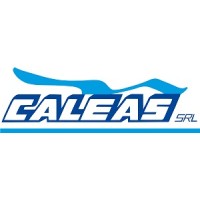 Caleas Srl - Broker di Assicurazioni logo - Similar company to Limestreet Srl - L.S. Srl
