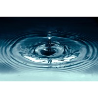 Ripple Consulting, Inc.