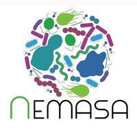 NEMASA UFLA logo - Similar company to Genmelhor