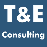 T&E Consulting Llc