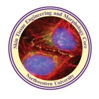 Skin Tissue Engineering and Morphology (STEM) Core-Northwestern University logo - Similar company to Bio-Nanomaterials And Tissue Engineering Laboratory (Bntelab)