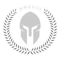 Platinum Security Solutions Ltd logo - Similar company to Mk Safety Solutions Ltd