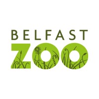 Belfast Zoo logo - Similar company to Succeed With Confidence
