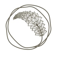 Wulfenia Hotel logo - Similar company to Kolasin Valleys