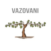 Vazovani ∙ ვაზოვანი logo - Similar company to Indeco • ინდეკო