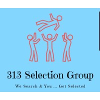 313 Selection Group logo - Similar company to Amarisa Training Academy