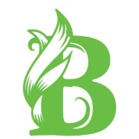 Bitlance Technologies logo - Similar company to Abn Infotech Solution