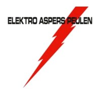 Elektro Aspers Peulen BV logo - Similar company to Peulen B.V.