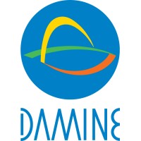 DAMINE S.A.S. logo - Similar company to Damine