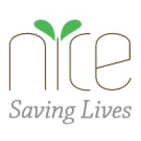NICE Foundation logo - Similar company to Identitypro.Co
