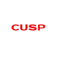 SHENZHEN CUSP TECHNOLOGY CO., LTD logo - Similar company to Ynot Design