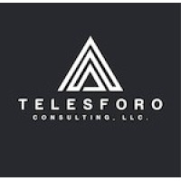 Telesforo Consulting, LLC logo - Similar company to The Baxter Group Llc
