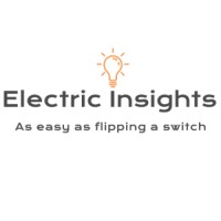 Electric Insights logo - Similar company to She Believes In Me