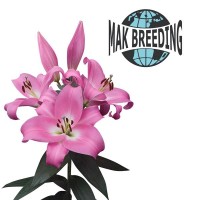 Mak Breeding BV logo - Similar company to Hem Technologies