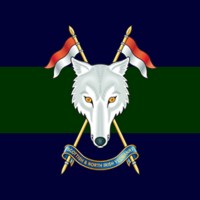 Scottish and North Irish Yeomanry logo - Similar company to The Royal Wessex Yeomanry