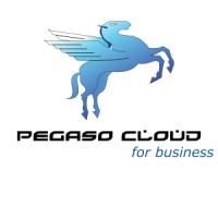 Pegaso Cloud logo - Similar company to Smartbilly