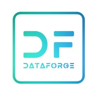 Data Forge logo - Similar company to Febed