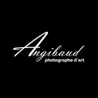 ANGIBAUD PHOTO logo - Similar company to Les Semettes