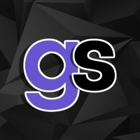 Gamer Style logo - Similar company to Virtual Dynamiks