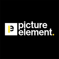PICTURE ELEMENT logo - Similar company to Dissidentia