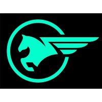 ROADJET logo - Similar company to Secu-Ring Gmbh