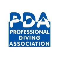 PDA America Latina logo - Similar company to Litexco Group