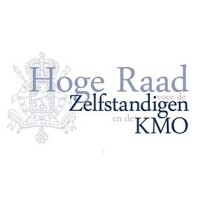 Hoge Raad Voor De Zelfstandigen En De Kmo (Hrzkmo)