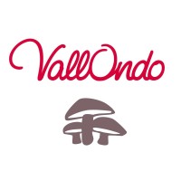 Setas Vallondo logo - Similar company to Encarna Group
