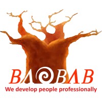 Baobab Development Solutions logo - Similar company to Lamplighter