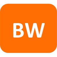 Big Wisdom logo - Similar company to Code Engineering Company B