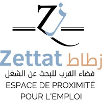ZETTAT logo - Similar company to Pixely