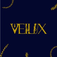 Veilux Company logo - Similar company to Tech Expo