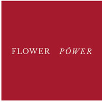 Flower Power Dubai logo - Similar company to Versagames