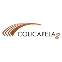 Colicapela 2 - Construções Lda. logo - Similar company to Seregal Construções