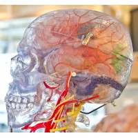3D Medical Imaging Tools logo - Similar company to 3D Medical Tech