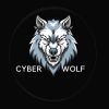 CyberWolf Team logo - Similar company to Infobahn Ctf