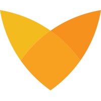 vStream logo - Similar company to Shinevr
