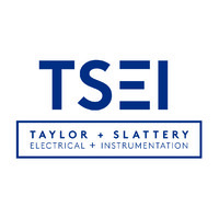 TS Electrical and Instrumentation logo - Similar company to Multiplex Engineering Ltd (Ire)