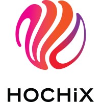 HOCHiX Akademie logo - Similar company to Hoffman Institute Germany