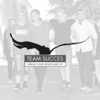 Team Succes logo - Similar company to Ic Concept