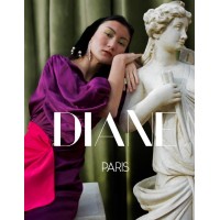 DIANE Paris logo - Similar company to Équipe Donovan - Re/Max Accès Inc
