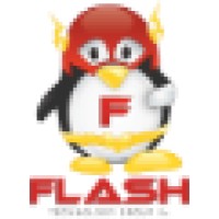 Flash Technology Group, LLC logo - Similar company to Flash