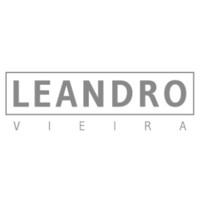LV Software Development logo - Similar company to Saphireduc