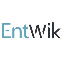 EntWik Gaming logo - Similar company to R45 Designworks - Ui/Ux & 3D Studio