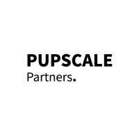 PUPSCALE Partners logo - Similar company to Iconnect