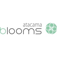 atacama blooms logo - Similar company to Averbis Gmbh