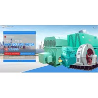 Shanghai Pinnxun Electric Motor Co.,ltd logo - Similar company to Ningde Bentian Engine Co., Ltd.