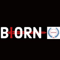 Biorn Group logo - Similar company to Biorn Group Cyber